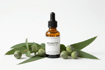 Huile Essentielle Eucalyptus Globulus Bio 10ml - Respiratoire & Purifiant - Home Chic Choc